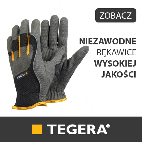 TEGERA